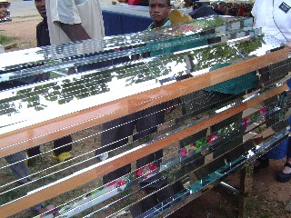 Casket Manufacturing